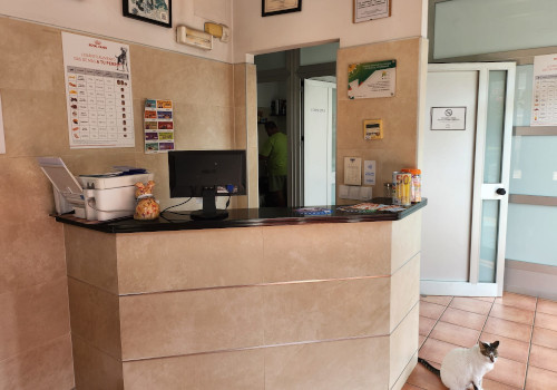 Consulta General. Caninos y Felinos